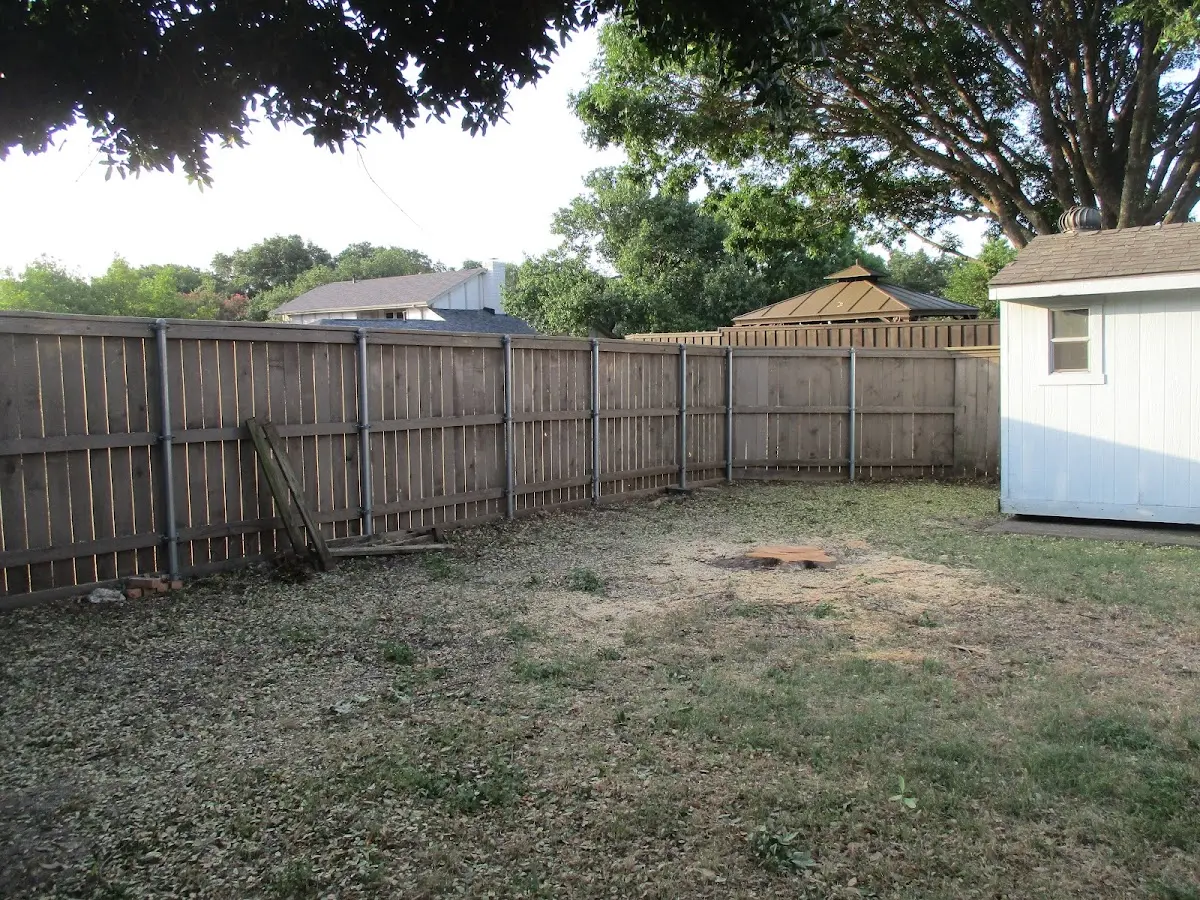 Cleared yard after professional tree removal in Fabius